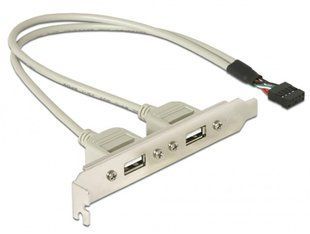 Планка корпусна USB2.0 Ax2-PinHeader (планка) Delock(70.07.1000) 0.30m Slot Bracket