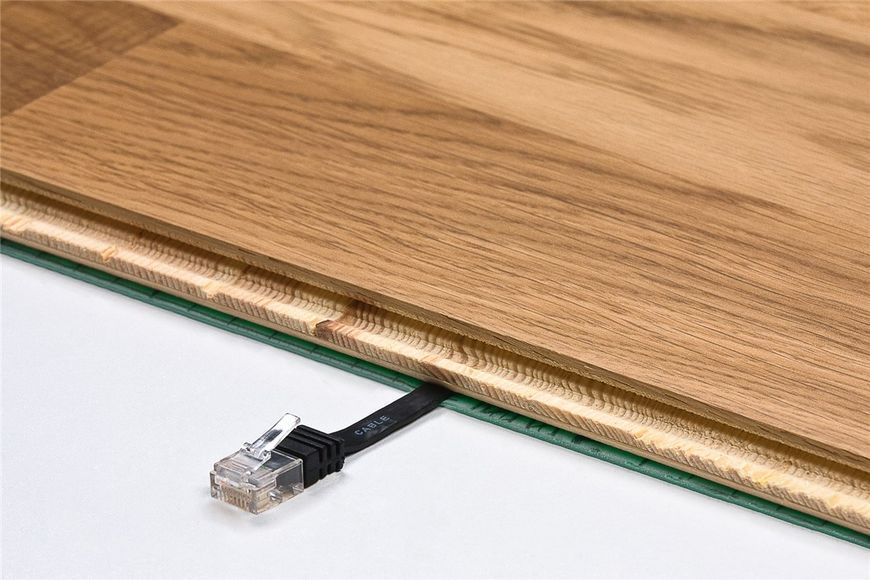 Патч-корд RJ45 FTP6 0.25m Goobay (75.09.4229) patch Flat OD 1.8x6.6mm Cu 75.09.4229 фото